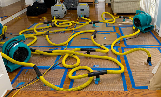 Professional Basement Flood Cleanup technician working in Oconomowoc, WI